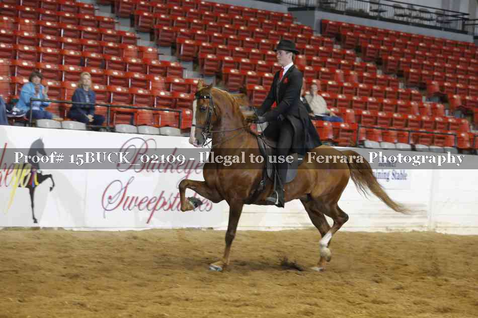 Proof 15BUCK_02109