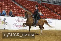 15BUCK_02109 proof