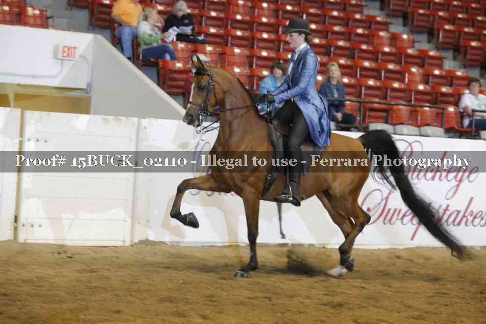 Proof 15BUCK_02110