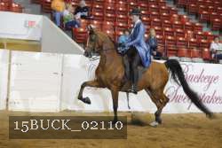 15BUCK_02110 proof