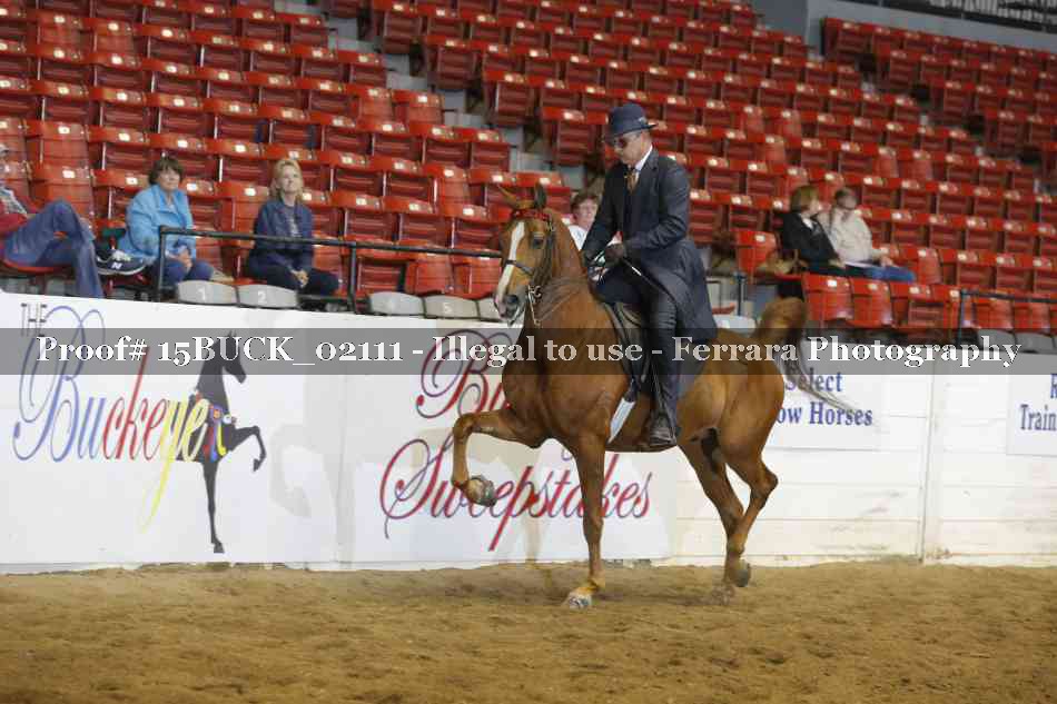 Proof 15BUCK_02111