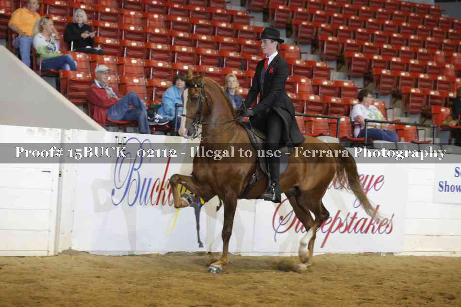Proof 15BUCK_02112