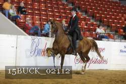 15BUCK_02112 proof
