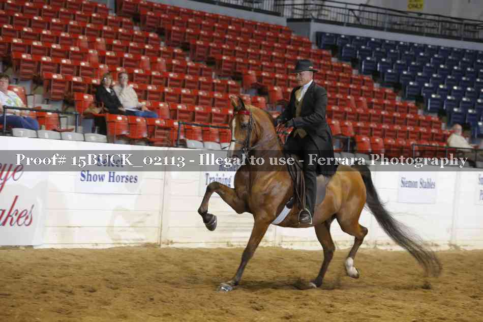 Proof 15BUCK_02113