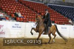 15BUCK_02113 proof