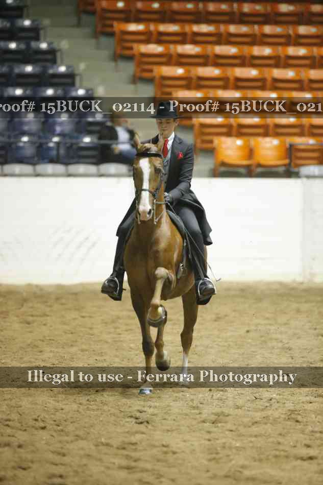 Proof 15BUCK_02114