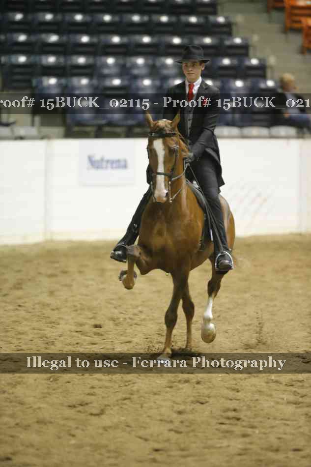 Proof 15BUCK_02115