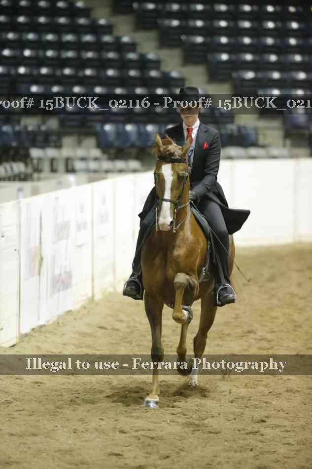 Proof 15BUCK_02116