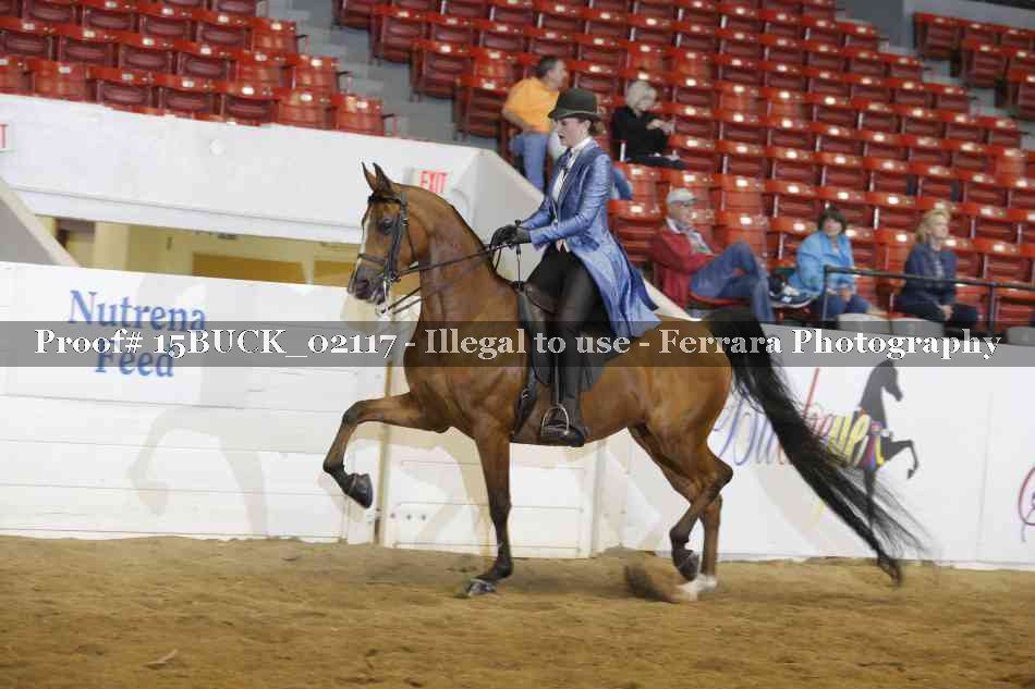 Proof 15BUCK_02117