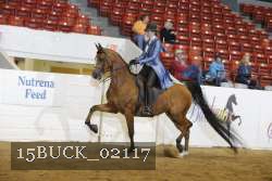 15BUCK_02117 proof