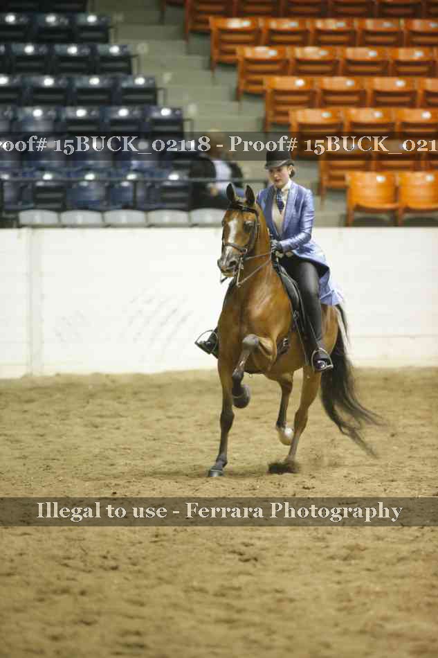 Proof 15BUCK_02118