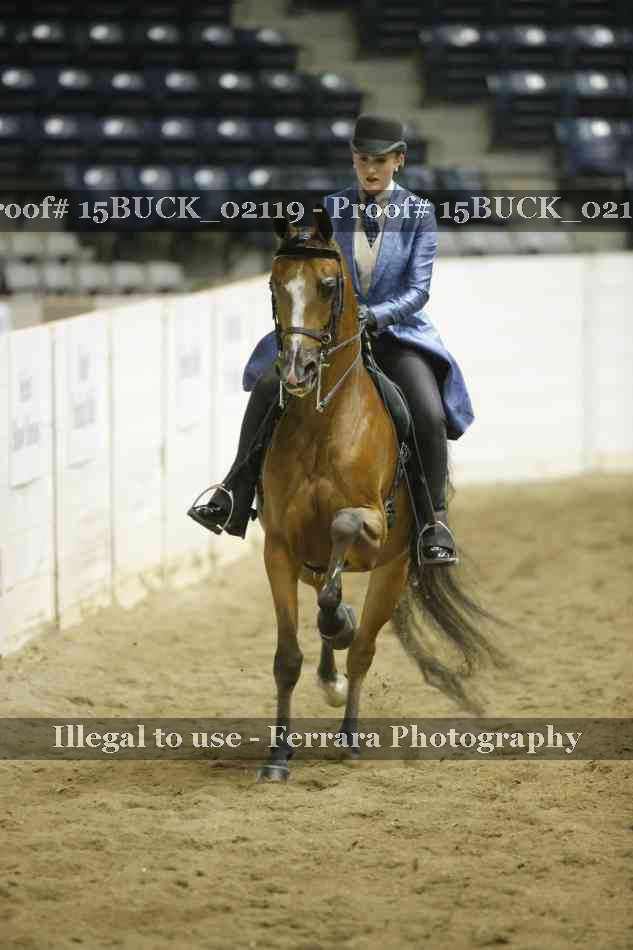 Proof 15BUCK_02119