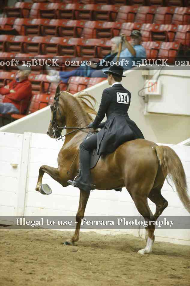 Proof 15BUCK_02120