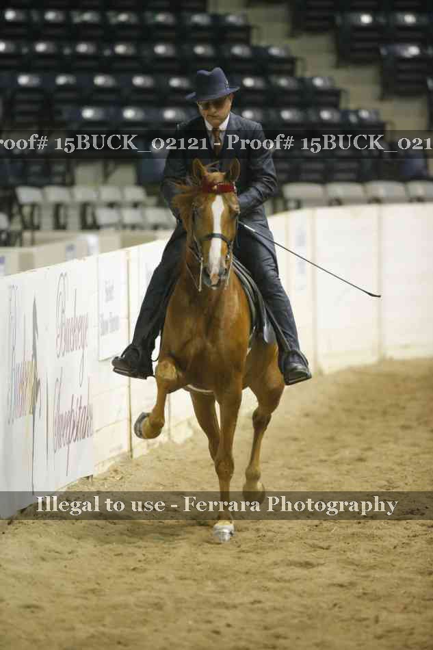 Proof 15BUCK_02121