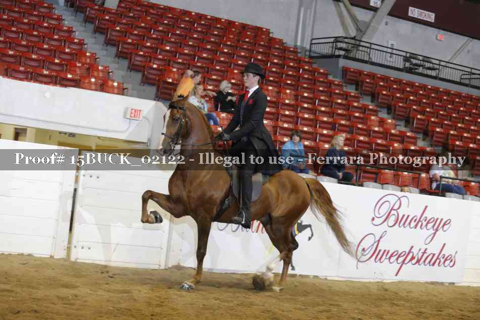 Proof 15BUCK_02122