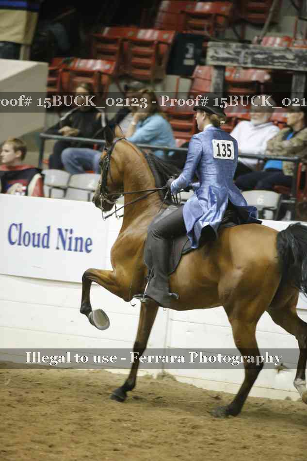 Proof 15BUCK_02123