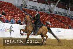15BUCK_02124 proof
