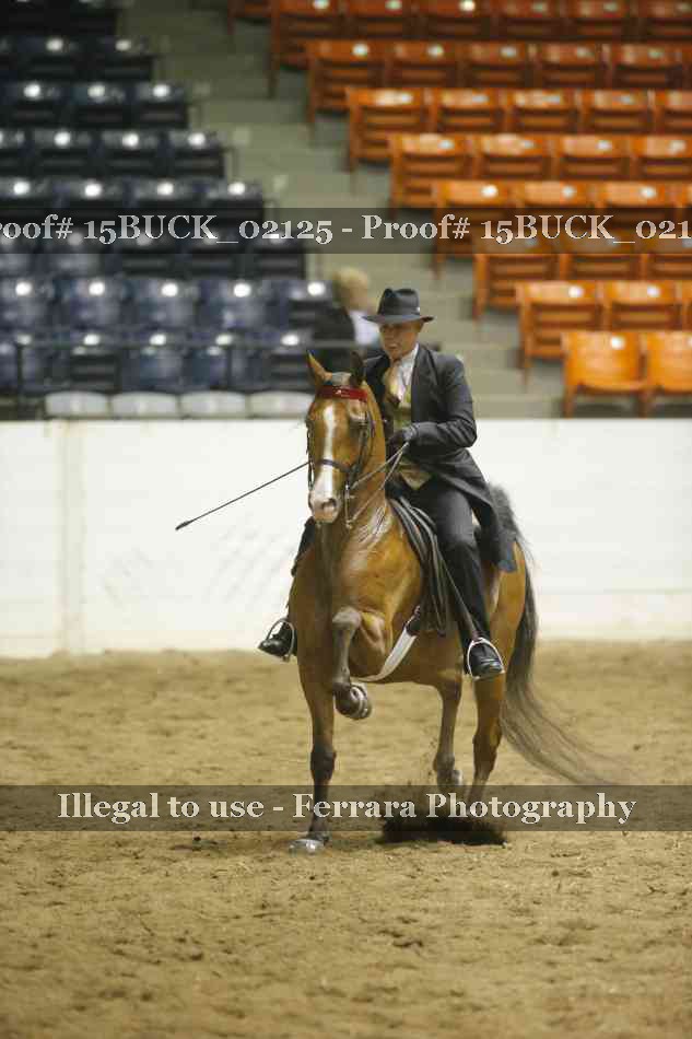 Proof 15BUCK_02125