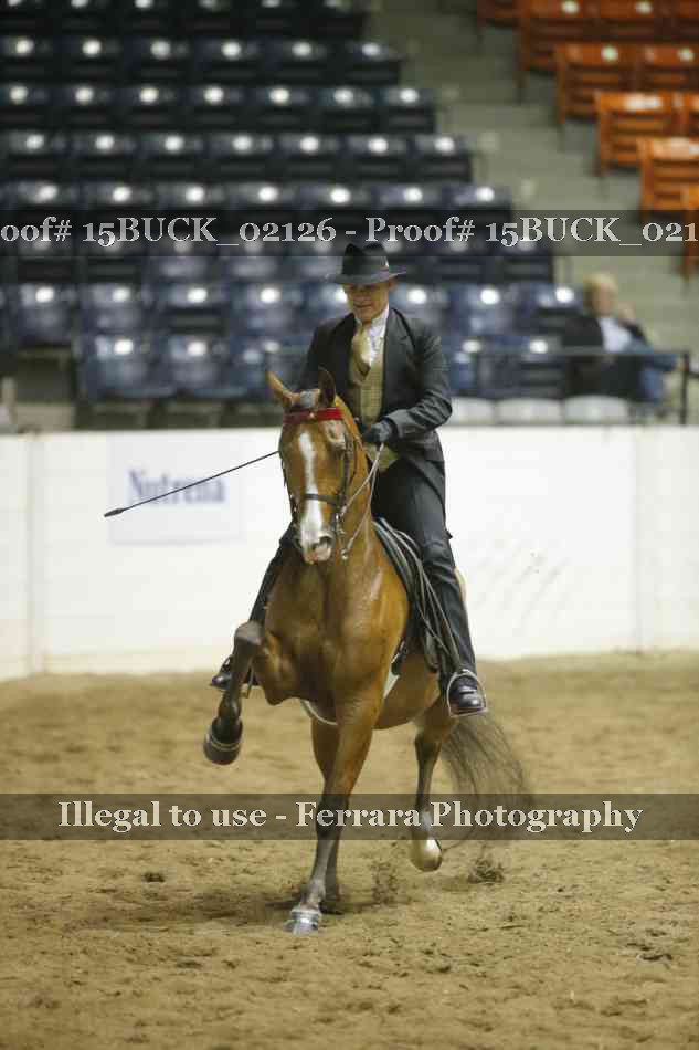 Proof 15BUCK_02126