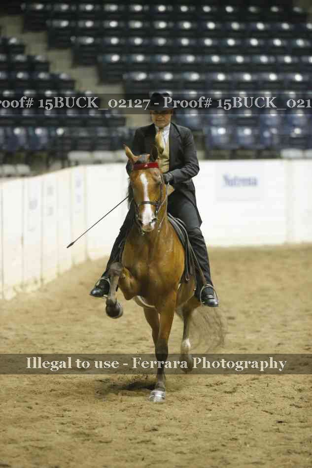 Proof 15BUCK_02127