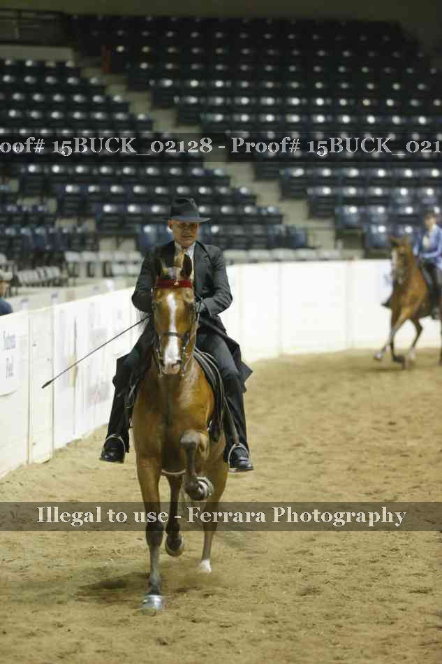 Proof 15BUCK_02128