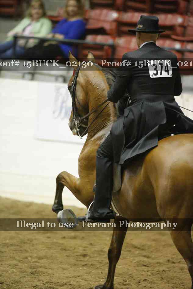 Proof 15BUCK_02130