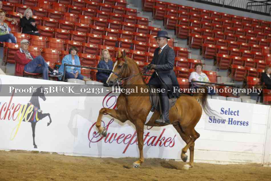 Proof 15BUCK_02131