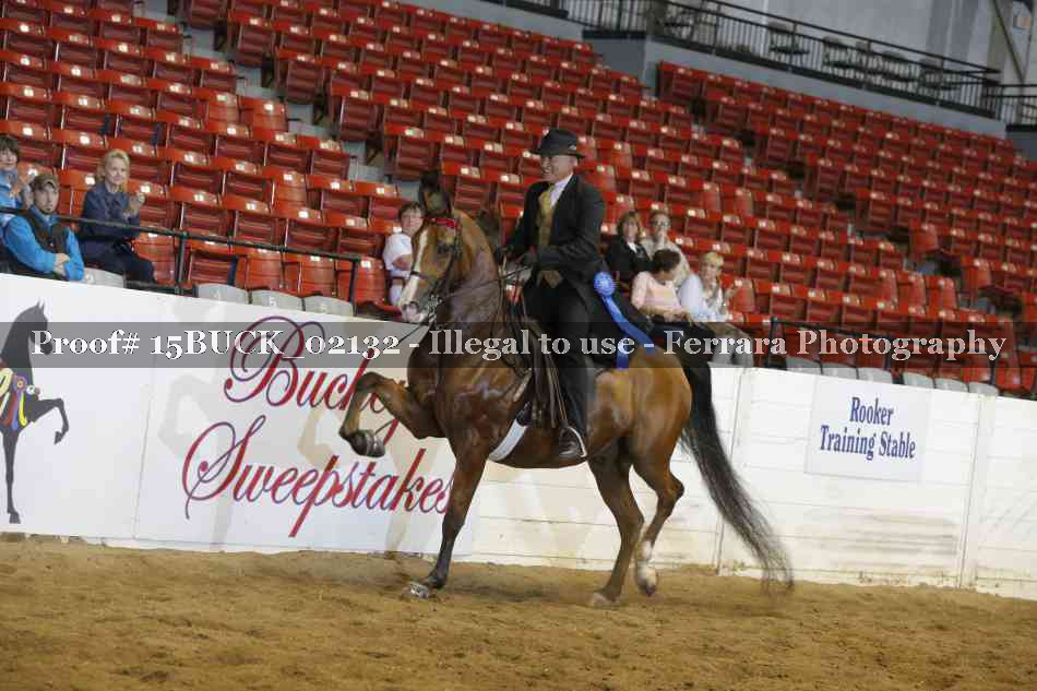 Proof 15BUCK_02132