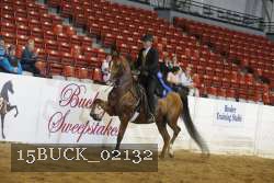 15BUCK_02132 proof