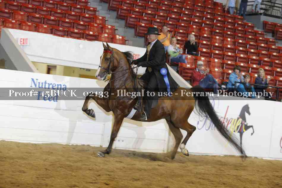 Proof 15BUCK_02133