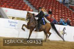 15BUCK_02133 proof