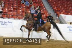 15BUCK_02134 proof