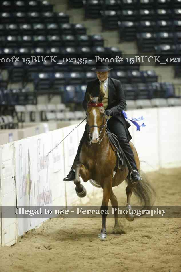 Proof 15BUCK_02135