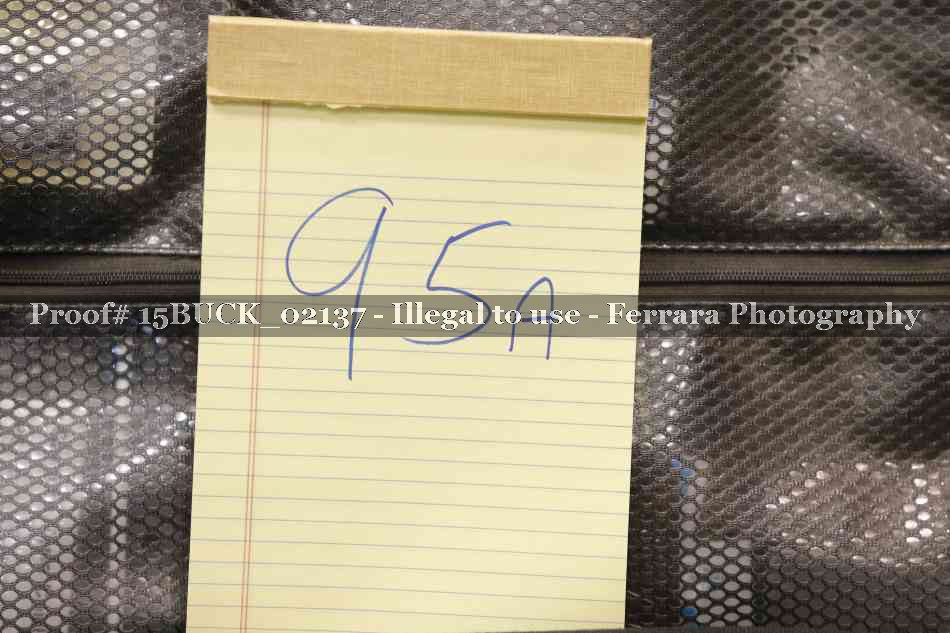 Proof 15BUCK_02137