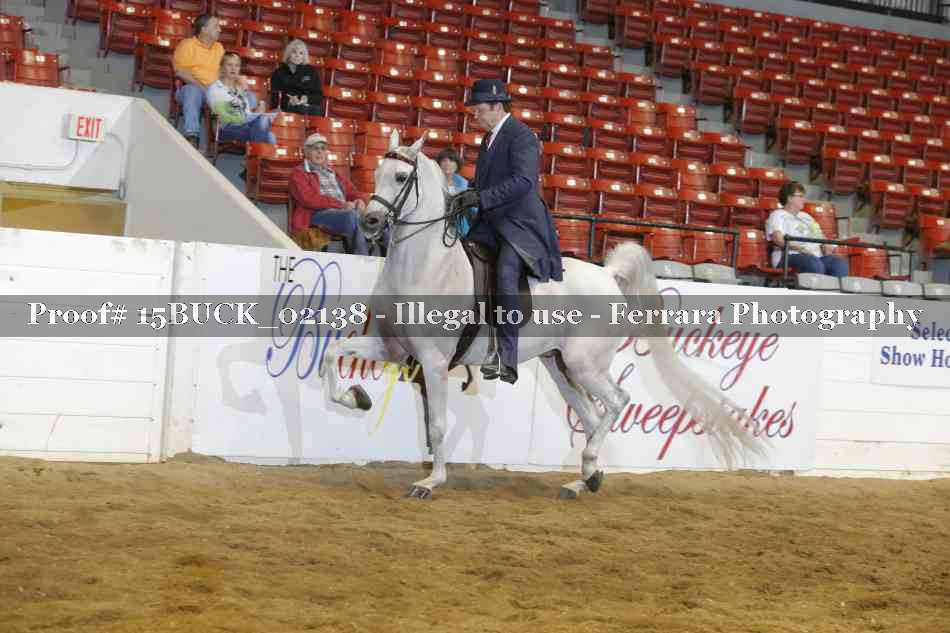 Proof 15BUCK_02138