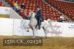 15BUCK_02138 proof