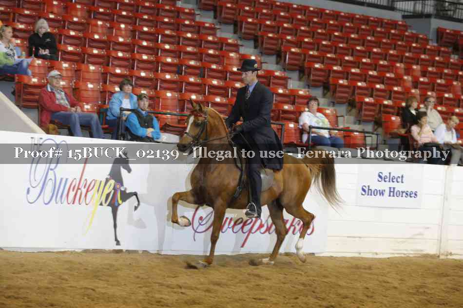 Proof 15BUCK_02139