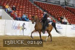 15BUCK_02140 proof