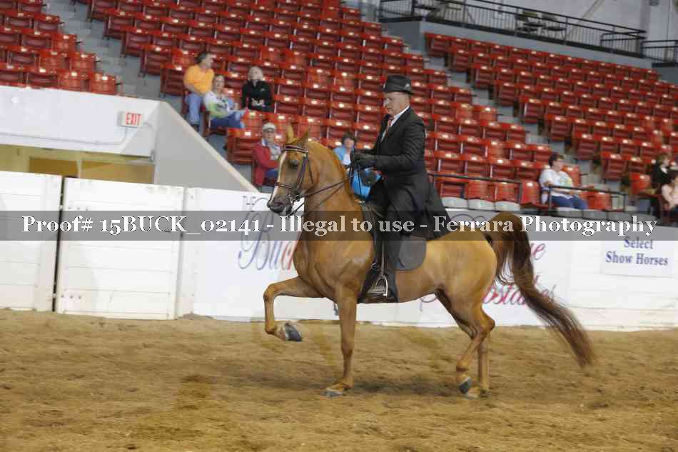 Proof 15BUCK_02141