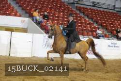 15BUCK_02141 proof