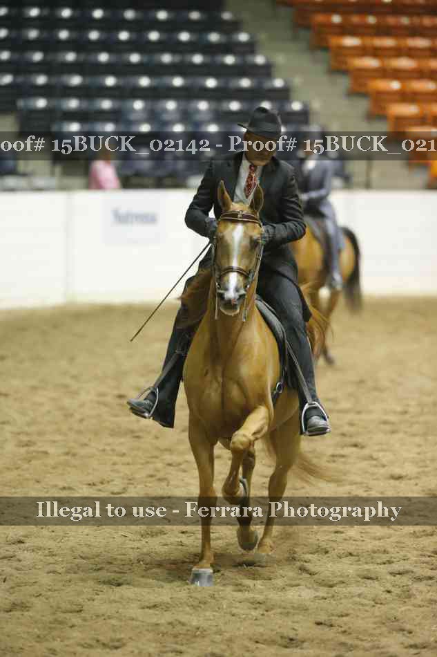 Proof 15BUCK_02142