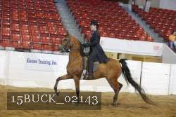 15BUCK_02143 proof