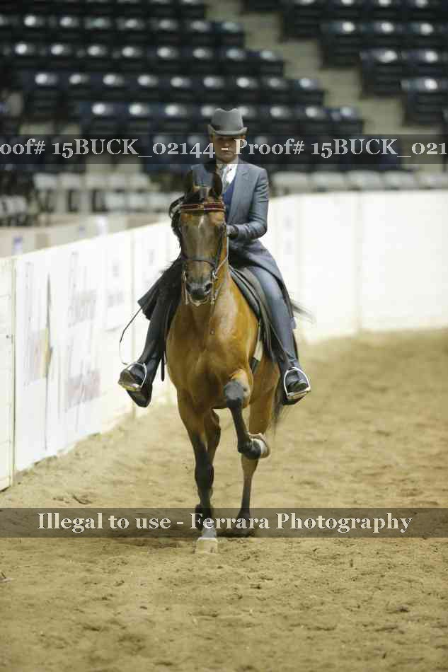 Proof 15BUCK_02144
