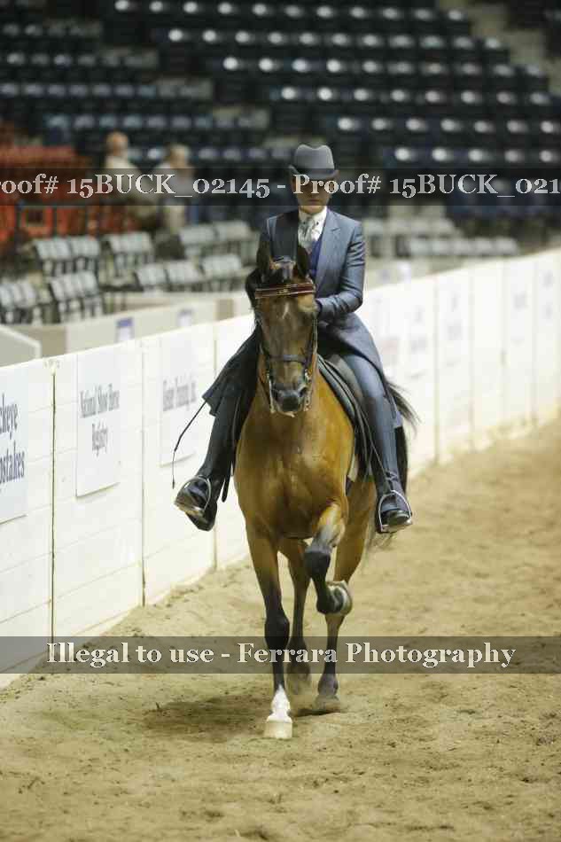 Proof 15BUCK_02145