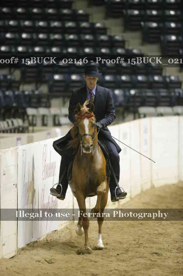 Proof 15BUCK_02146