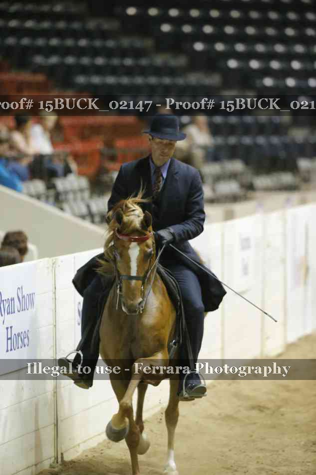 Proof 15BUCK_02147