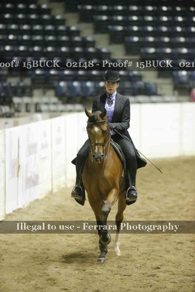 Proof 15BUCK_02148