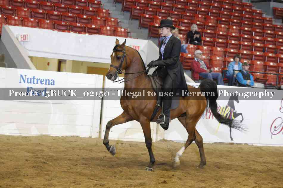 Proof 15BUCK_02150