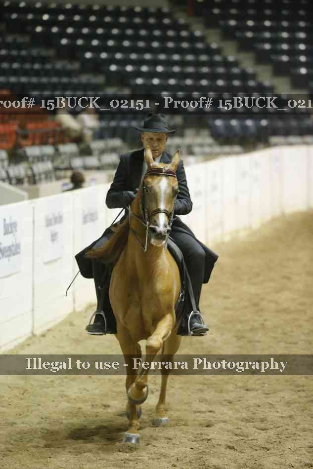 Proof 15BUCK_02151