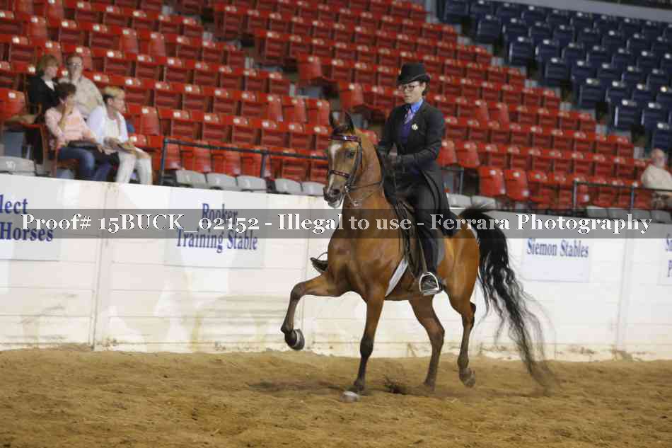 Proof 15BUCK_02152